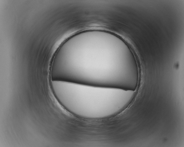 X0000115761333200911130951
