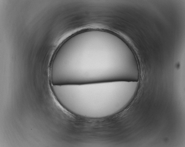 X0000115761335200911130951