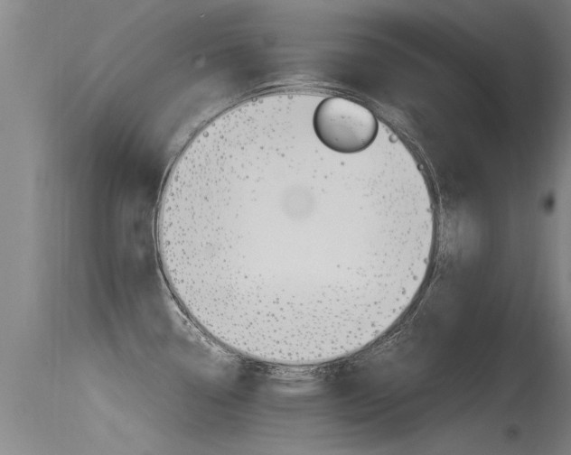 X0000115761338200911130951