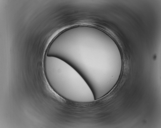 X0000115761339200911130951