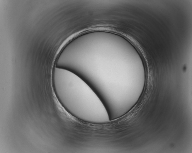 X0000115761341200911130951