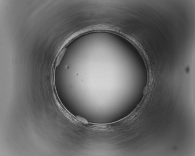 X0000115761342200911130951