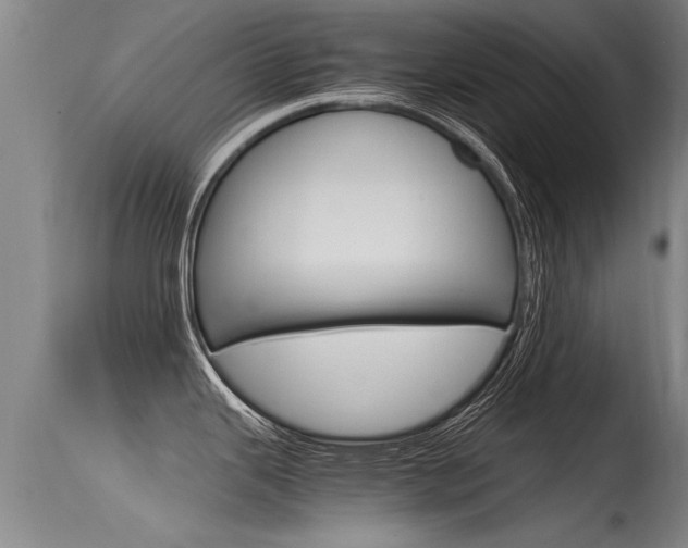 X0000115761343200911130951