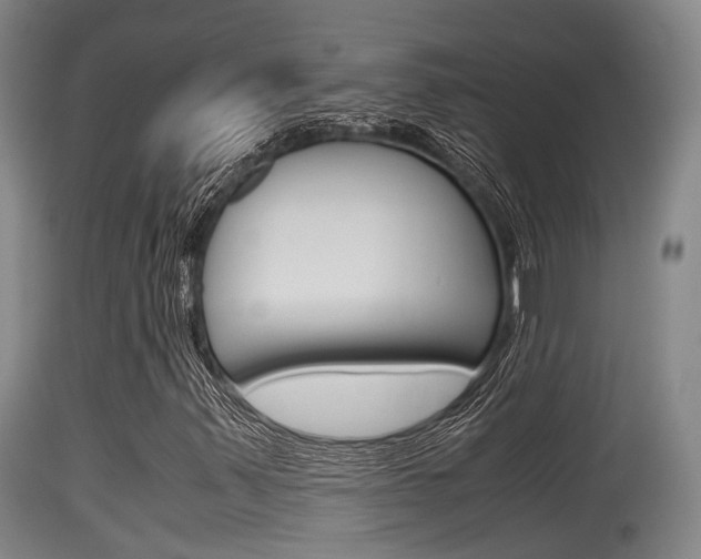 X0000115761347200911130950