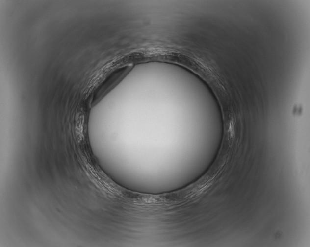 X0000115761348200911130950