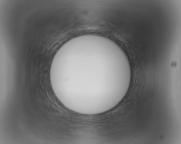 X0000115761349200911130950