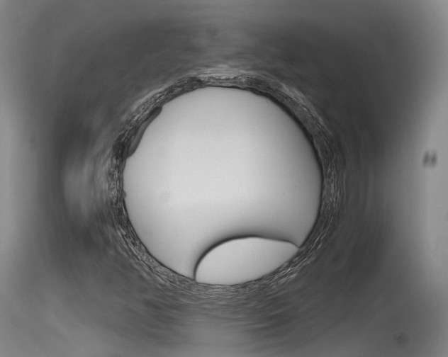 X0000115761350200911130950