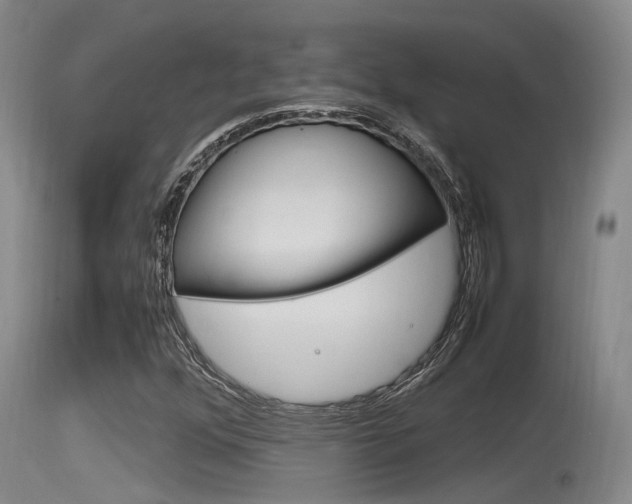X0000115761352200911130950