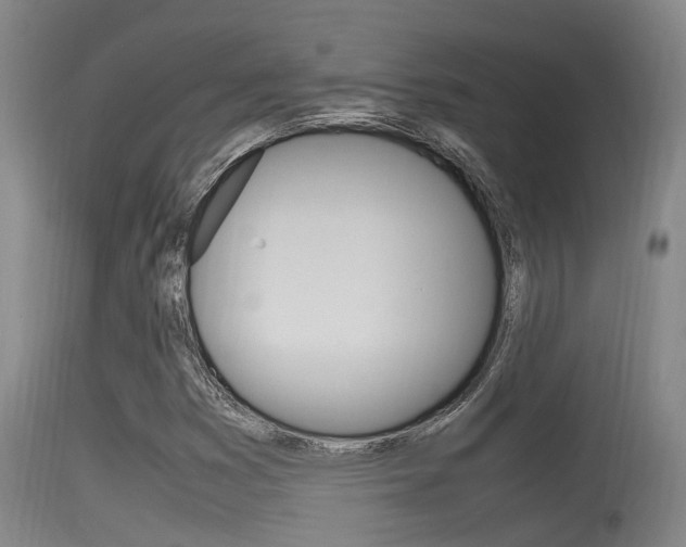 X0000115761353200911130950