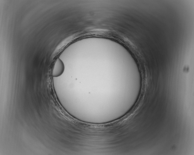 X0000115761354200911130950