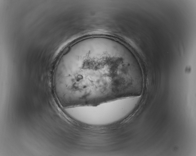 X0000115761356200911130950