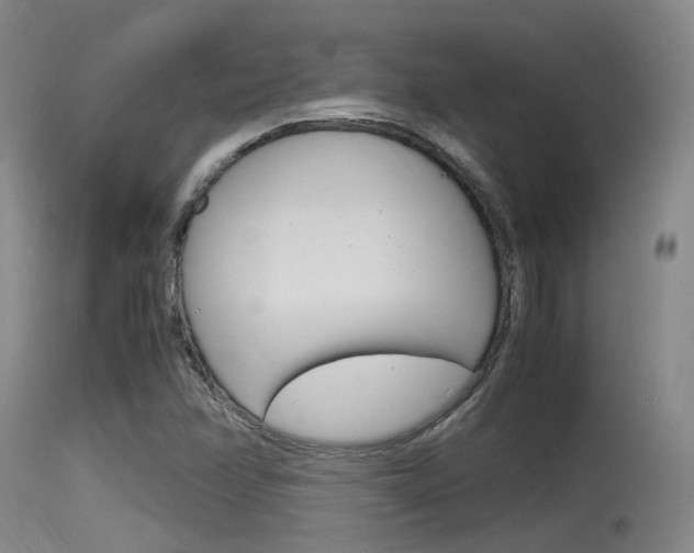 X0000115761358200911130950