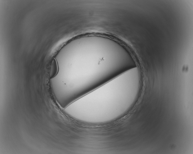 X0000115761359200911130950