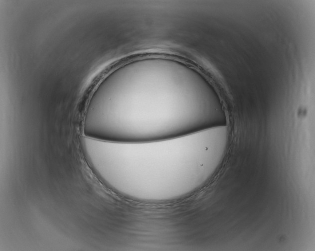 X0000115761360200911130950