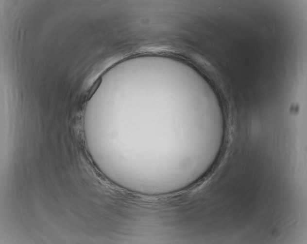 X0000115761361200911130950