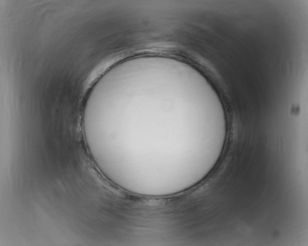 X0000115761362200911130950