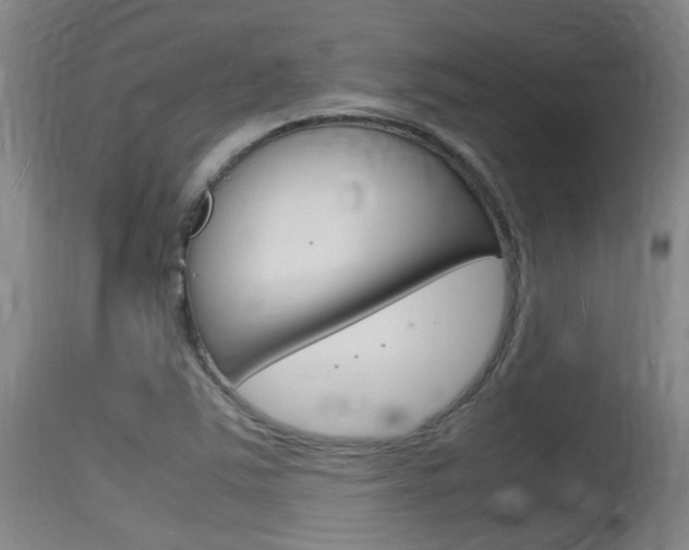 X0000115761363200911130950