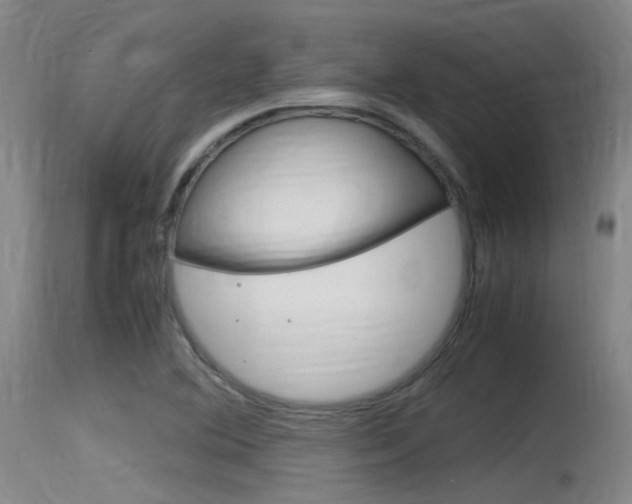 X0000115761364200911130950