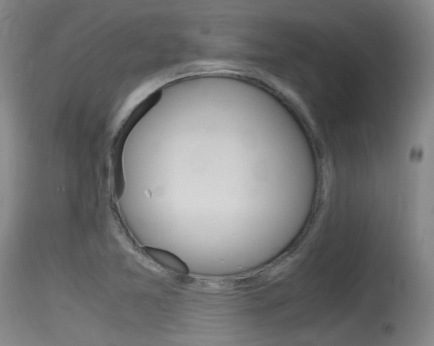 X0000115761365200911130950