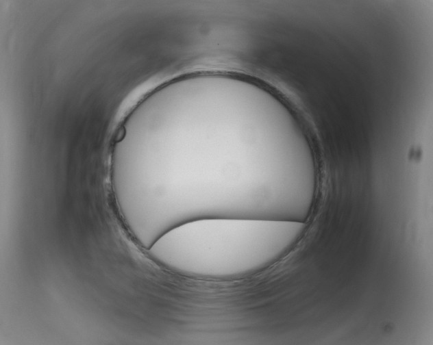 X0000115761366200911130950