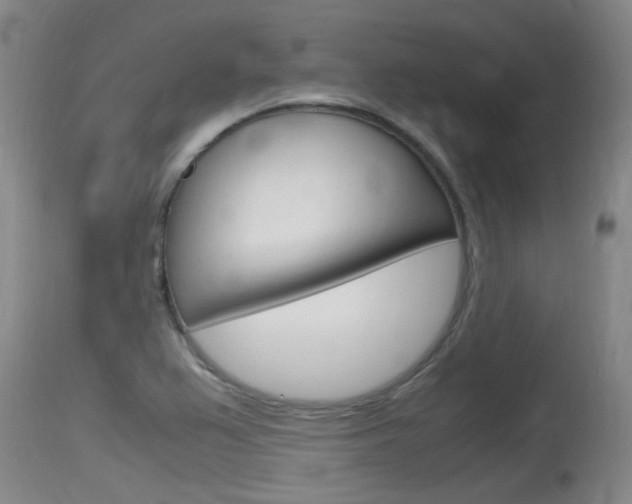 X0000115761367200911130950