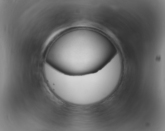 X0000115761368200911130950