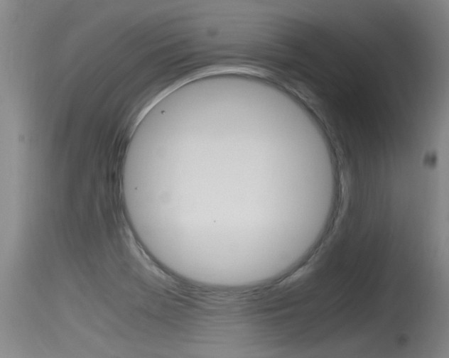 X0000115761369200911130950