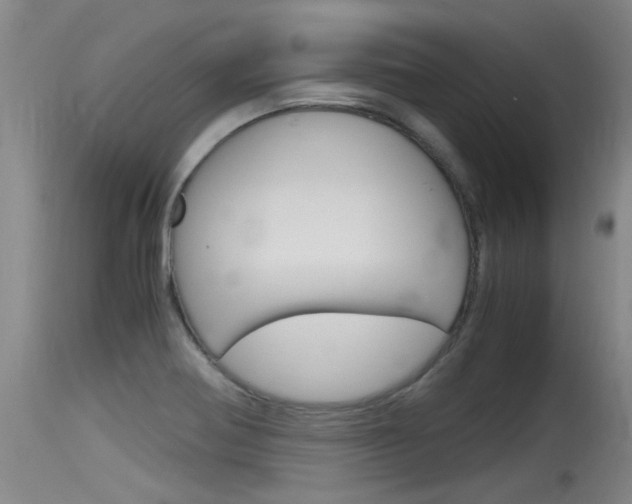 X0000115761370200911130950