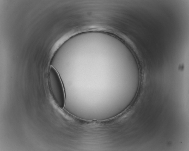 X0000115761373200911130950