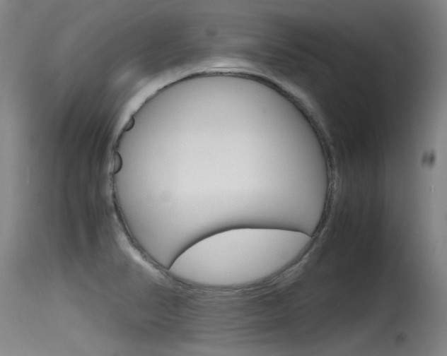 X0000115761374200911130950
