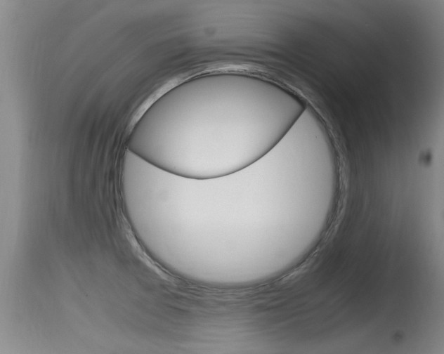 X0000115761377200911130950