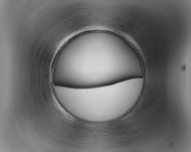 X0000115761380200911130950