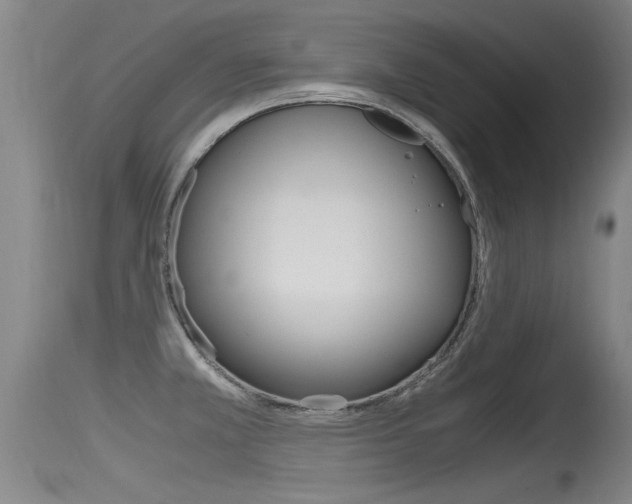 X0000115761381200911130950