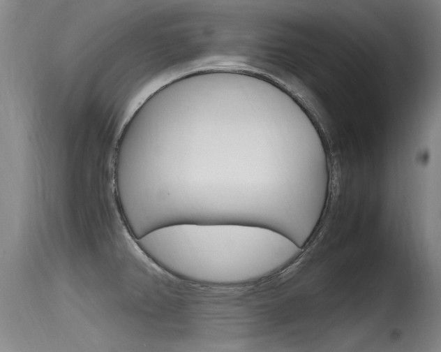 X0000115761382200911130950
