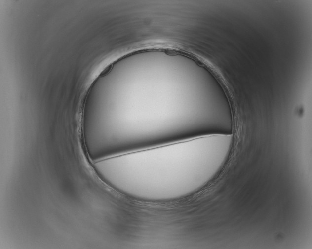 X0000115761383200911130950