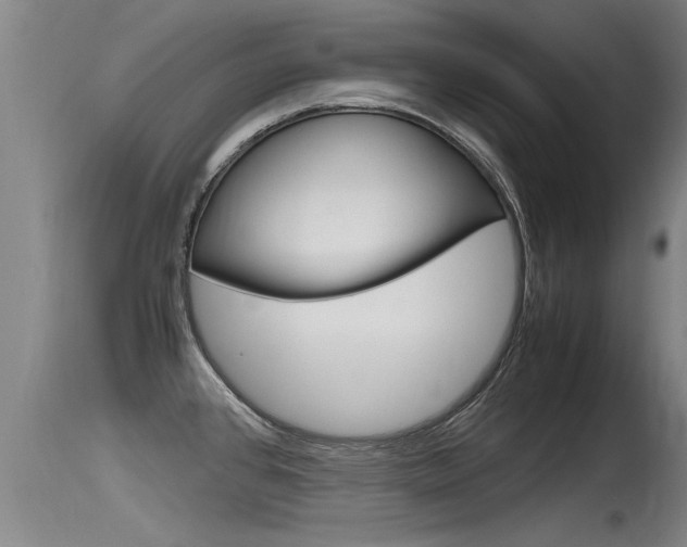 X0000115761384200911130950