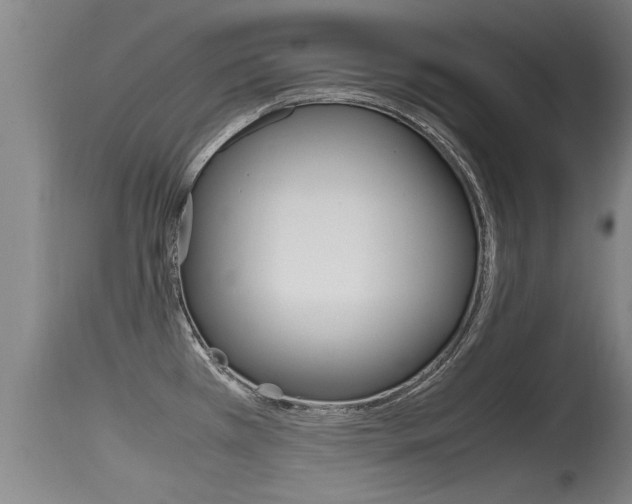 X0000115761385200911130950