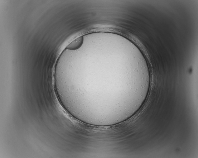 X0000115761386200911130950
