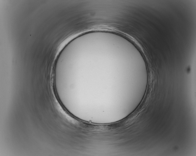 X0000115761387200911130950