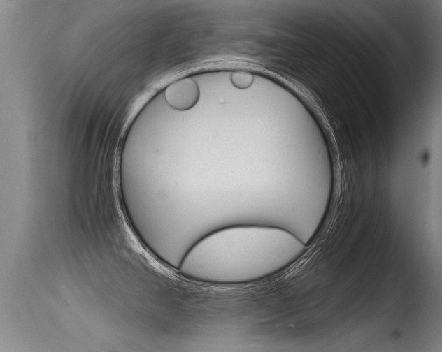 X0000115761390200911130950