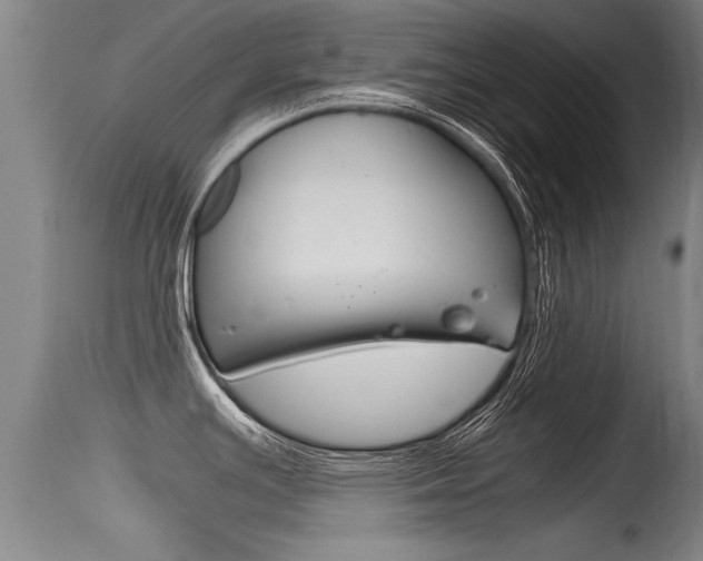 X0000115761391200911130950