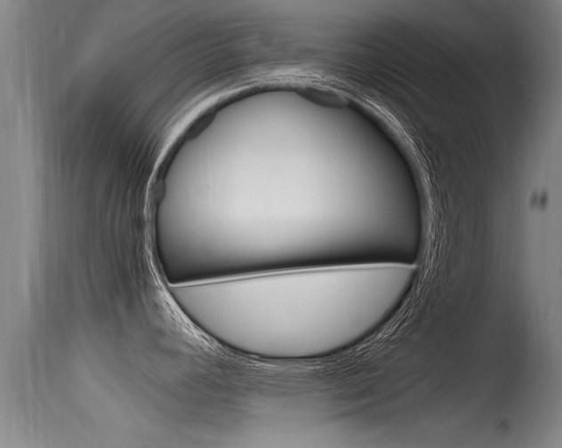 X0000115761392200911130950