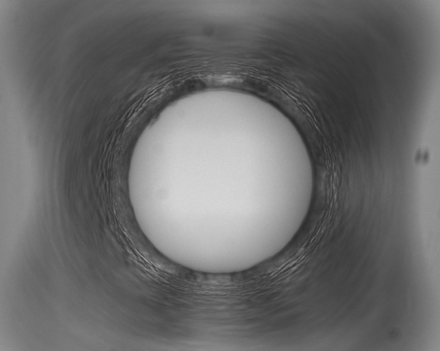 X0000115761393200911130949
