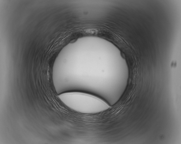 X0000115761394200911130949