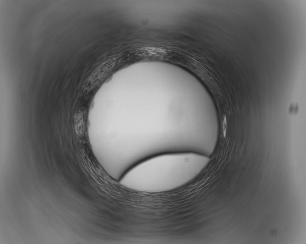 X0000115761395200911130949