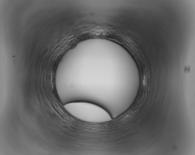 X0000115761396200911130949