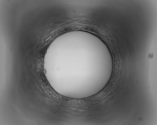 X0000115761397200911130949