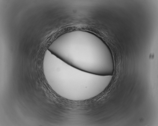X0000115761398200911130949