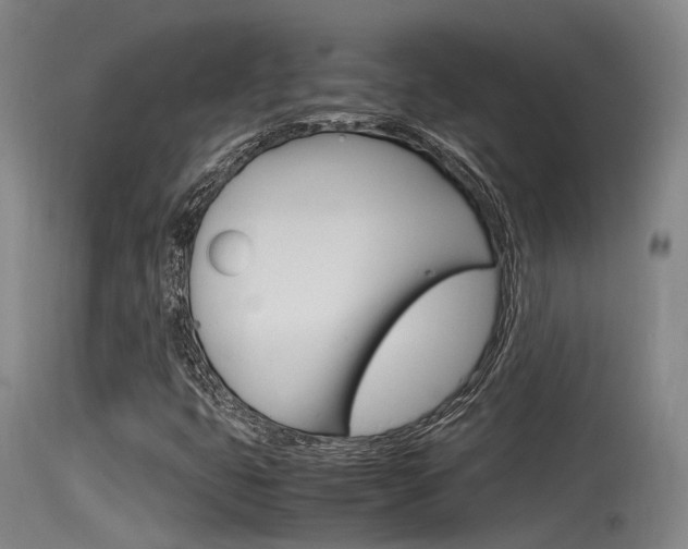 X0000115761399200911130949