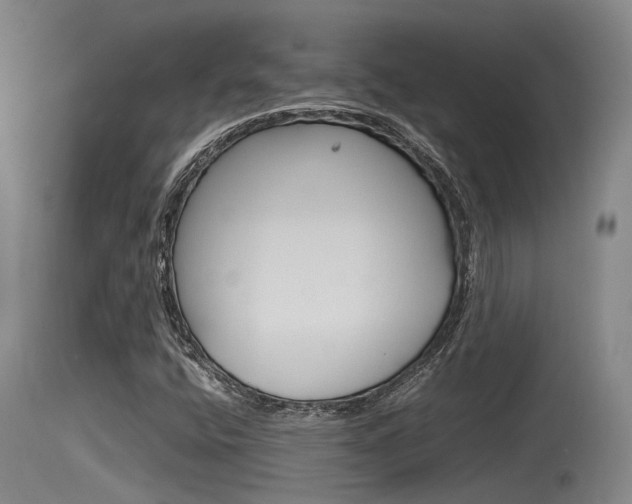 X0000115761400200911130949